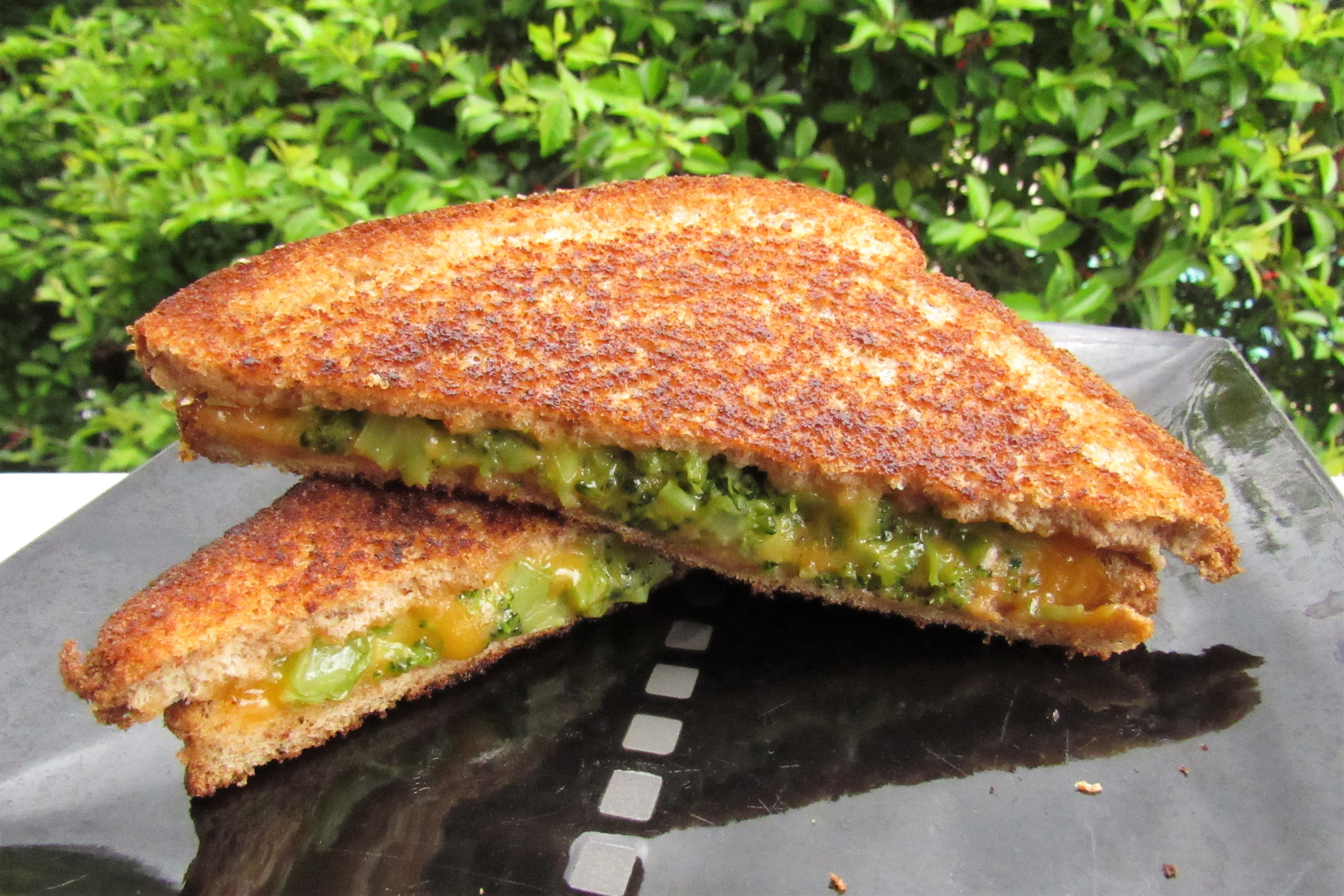grilled broccoli and cheese sandwich 